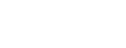 Project Persist